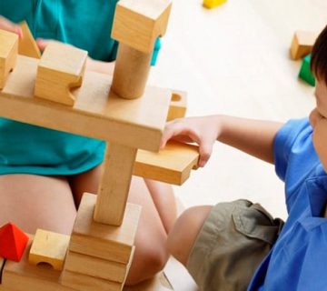 بهترین چوب برای ساخت اسباب بازی چوبی چیست؟