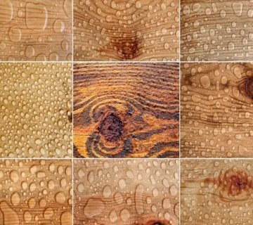 بهترین چوب‌های ضد آب و خرید و قیمت آن