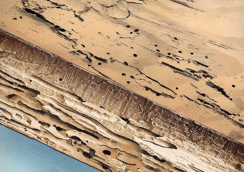 فینگر جوینت بهتر است یا ورق چوب طبیعی؟ 2 فینگر جوینت بهتر است یا ورق چوب طبیعی