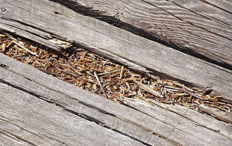 انواع پوسیدگی چوب و روشهای جلوگیری از آن 1 Rotting outdoor wood