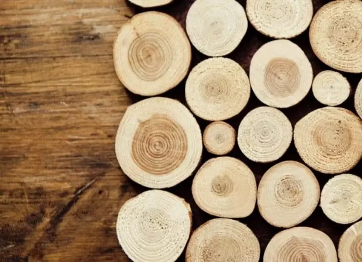 دانسیته چوب چیست و چگونه محاسبه می شود؟ 5 دانسیته چوب