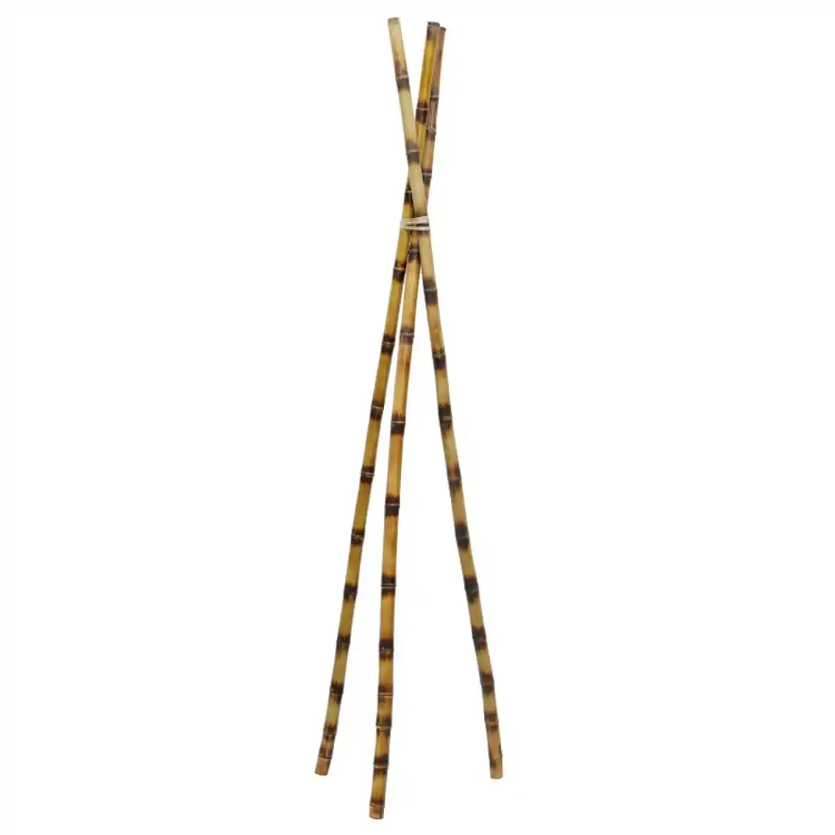 چوب بامبو چیست و چه استفاده هایی دارد؟ 4 چوب بامبو