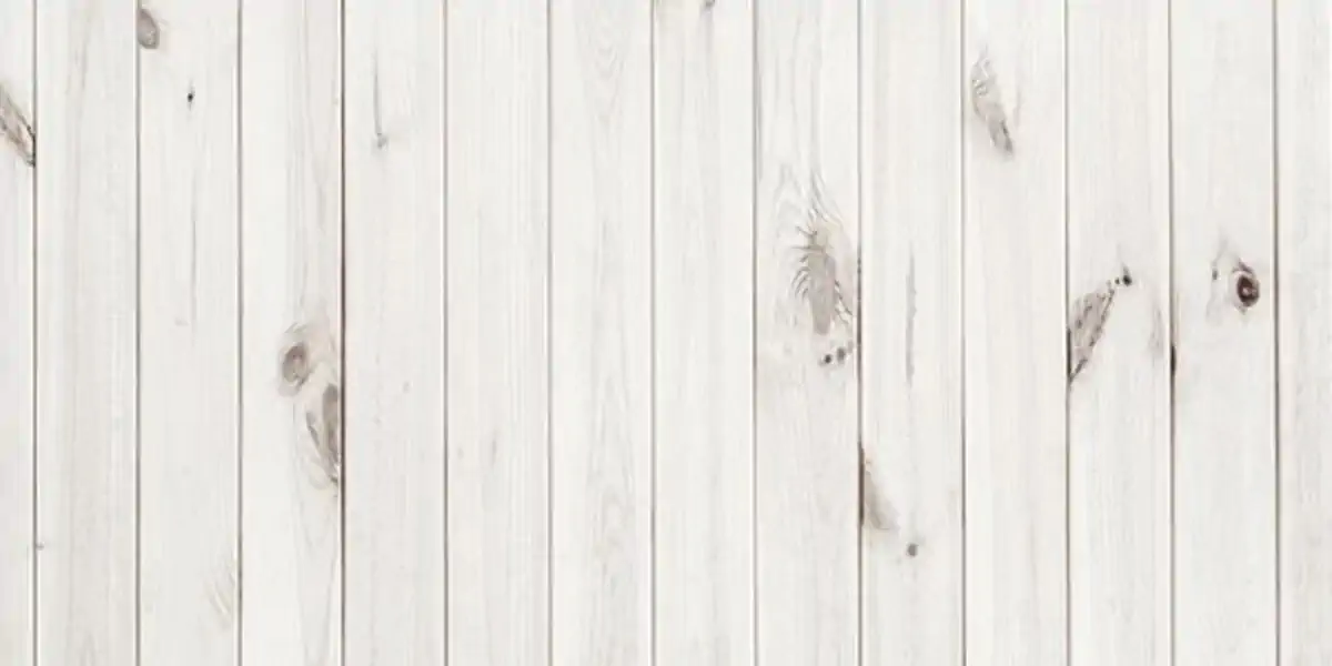 چوب سفید چیست و چه کاربردهایی دارد؟ 5 چوب سفید