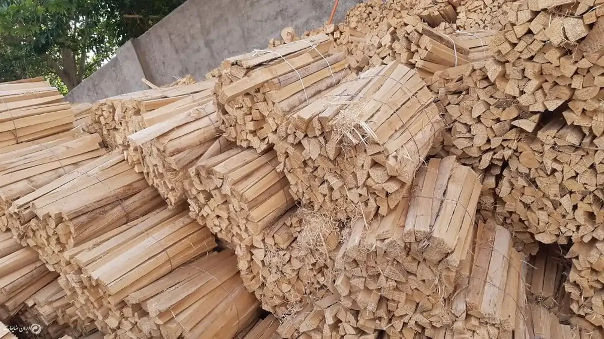 چوب صنوبر چه خصوصیاتی دارد؟ 1 چوب صنوبر