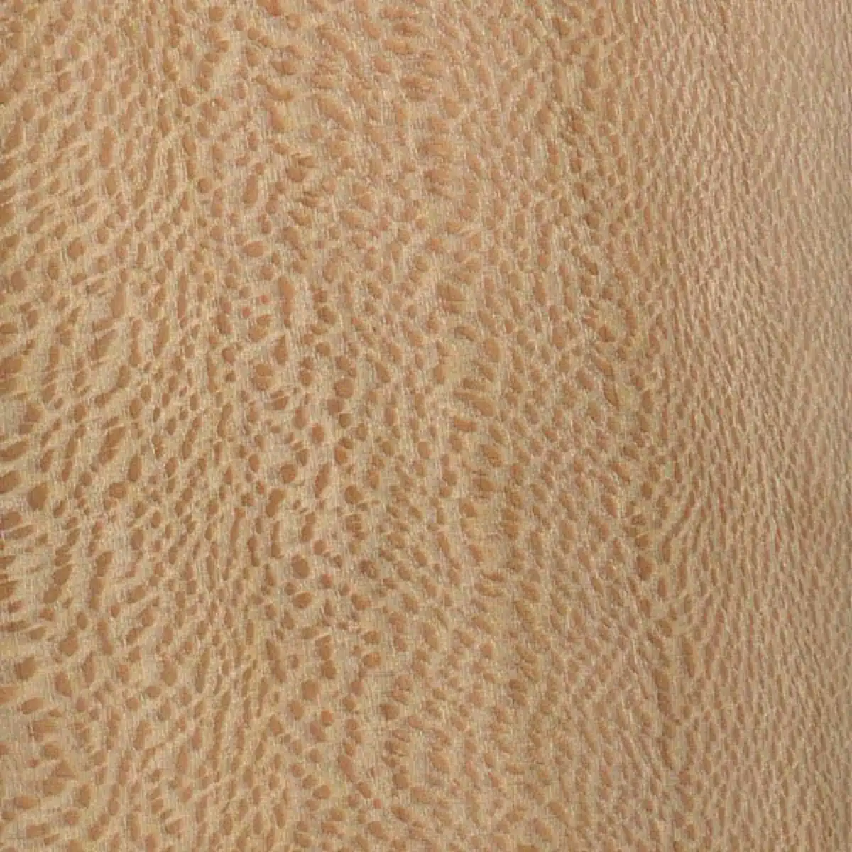 چوب چنار چه ویژگی ها و کاربردهایی دارد؟ 1 چوب چنار