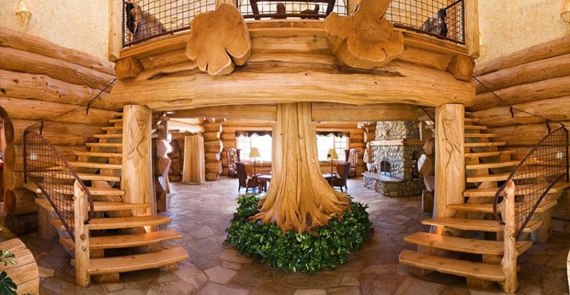 معرفی بائوبوخا و کاربردهای آن 1 22