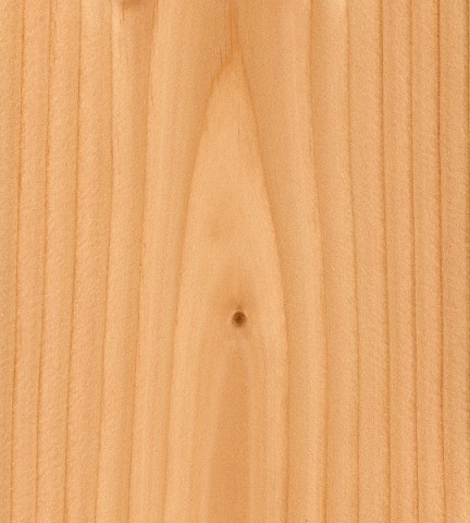 معرفی انواع چوب سخت و کاربرد آنها در صنعت و ساختمان 1 چوب سخت