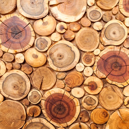 فینگر جوینت روسی سایز 18*1220*2440