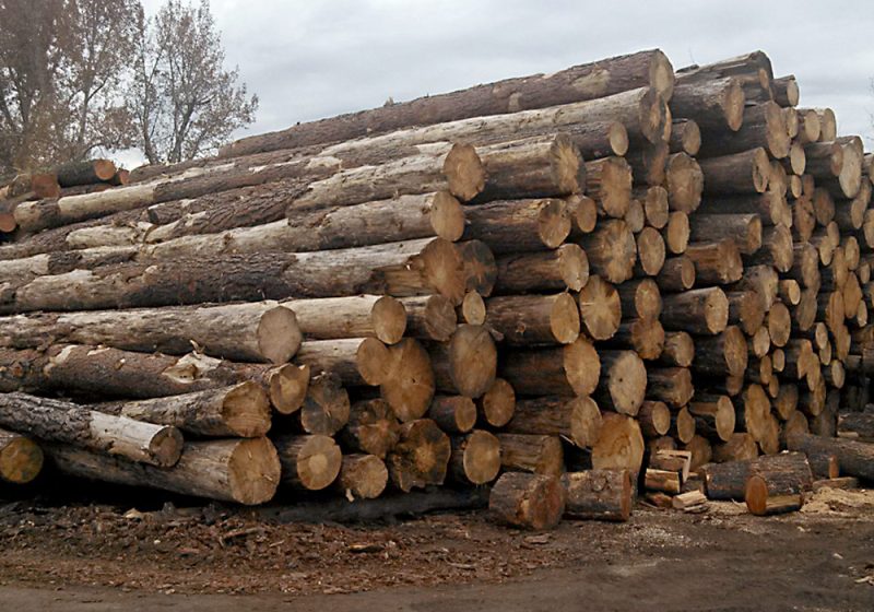 فینگر جوینت روسی سایز 18*1220*2440