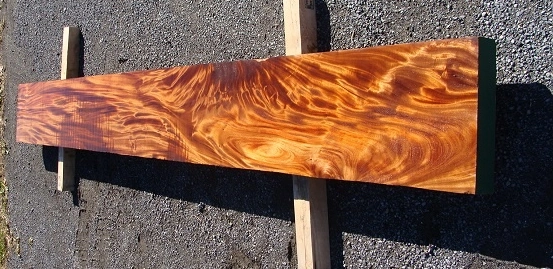 چوب آکاژو چیست و چه کاربردهایی دارد؟ | آشنایی با ویژگیها و استفادههای چوب آکاژو 1 چوب آکاژو