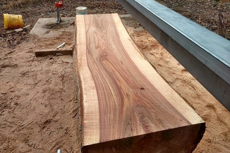 چوب درخت ملچ چه ویژگی ها و کاربردهایی دارد؟ 4 چوب ملچ