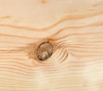 انواع چوب راش