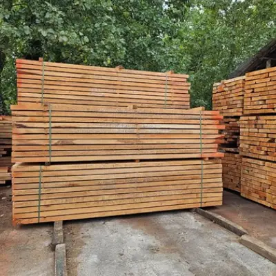 تفاوت های چوب توسکا و راش