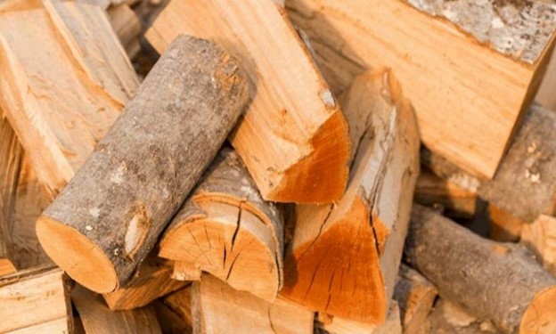 چوب راش یا توسکا ؟