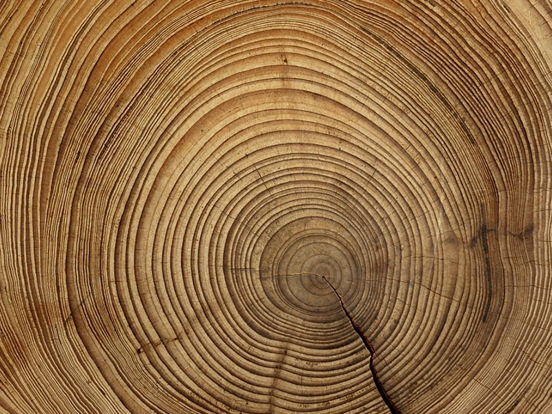 آشنایی 0 تا 100 با صفحه سالید و کاربردهای آن 2 آشنایی 0 تا 100 با صفحه سالید و کاربردهای آن