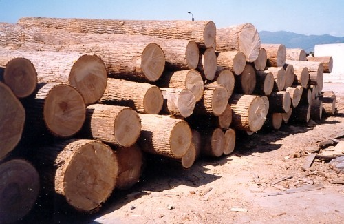 آشنایی با انواع چوب روسی و کاربردهای آن 4 تفاوت بین انواع چوب روسی