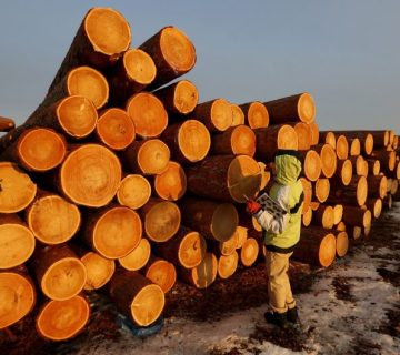 دلایل خرید چوب روسی در صنایع مختلف 11 چوب روسی