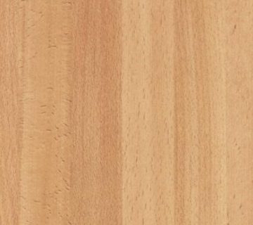 انواع چوب راش