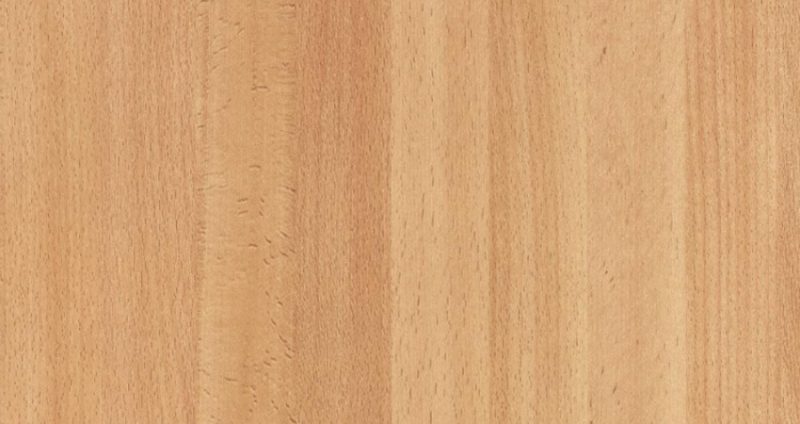 معرفی و بررسی انواع چوب راش 1 انواع چوب راش