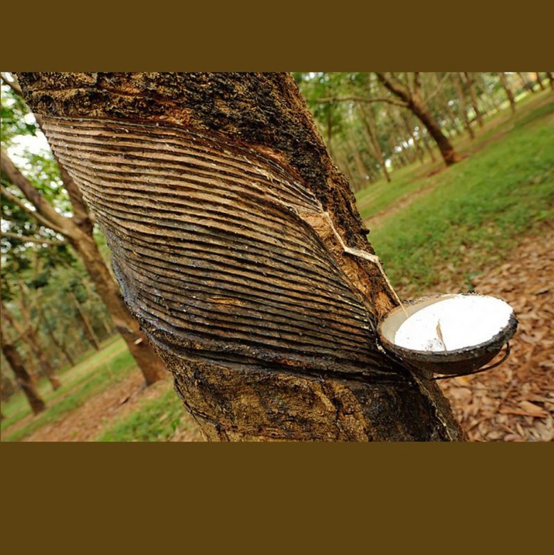 دوبل چوبی رابروود؛ کلید استحکام و ظرافت 1 دوبل چوبی رابروود