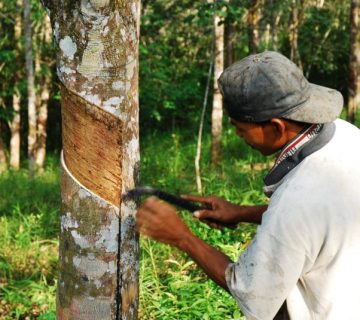 مزایای فینگر جوینت رابروود