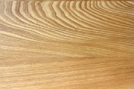 همه چیز راجع به چوب درخت ملچ 2 چوب ملچ