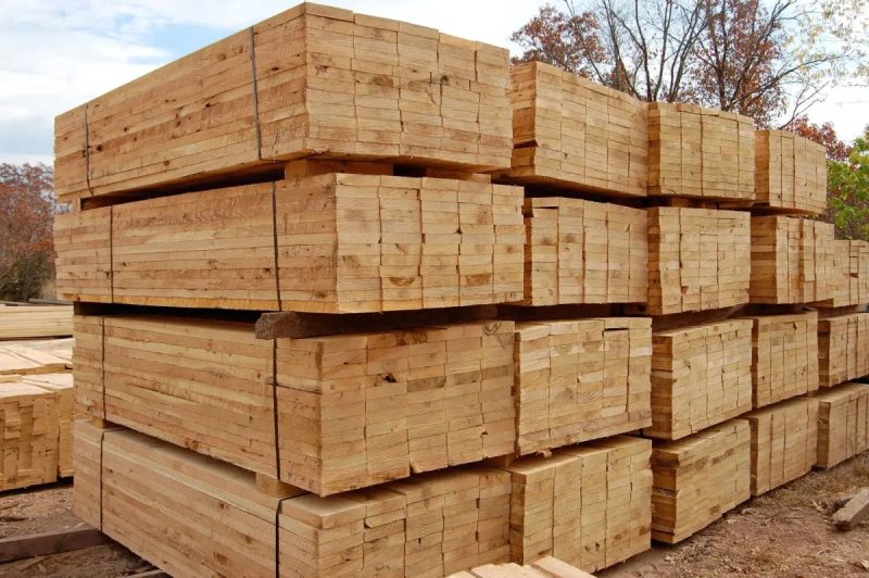 الوار ساسنا؛ محبوبترین چوب در صنایع مختلف 1 الوار ساسنا