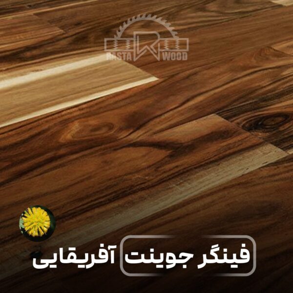 پانل فینگر جوینت آفریقایی (آکاسیا)