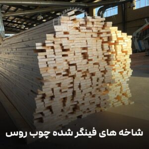 فینگر جوینت رستا چوب نوین 103 شاخه فینگر روس min