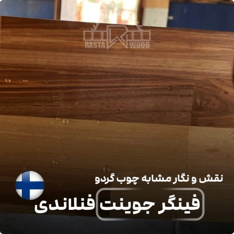 مقایسه فینگرجوینت فنلاندی و روسی