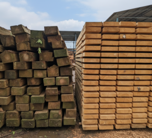 الوار خشک و تر