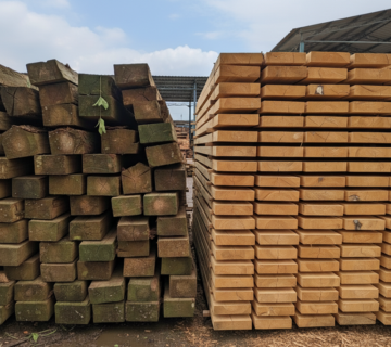 الوار خشک و تر